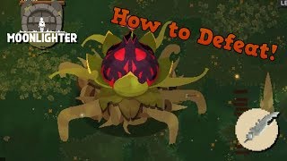 MOONLIGHTER Carnivorous Mutae Guide tips and tricks How to Finish Forest Dungeon [upl. by Calvano]