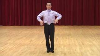 Basic Technique for Standard Ballroom Dancing [upl. by Gabriella]