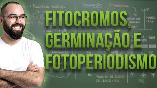 Fitocromos Germinação e Fotoperiodismo  Fisiologia Vegetal  Aula 32 Botânica Prof Guilherme [upl. by Edaj]