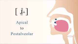 ɹ̠̊˔  unvoiced subapical postalveolar non sibilant fricative [upl. by Allevon231]