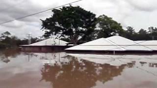 Brisbane floods  Twigg Street at indooroopilly 13111 [upl. by Penoyer]