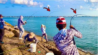 This Only Happens ONCE A YEAR Jetty Fishing [upl. by Nitsa]