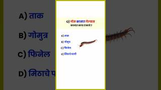 गोम कानात गेल्यास कानात काय टाकावे   GK Questions and Answers  shorts [upl. by Rezzani]