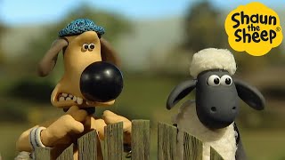 Bitzers Basic Training x3 Episodes  Season 2 DVD Collection  Shaun the Sheep [upl. by Lamag909]