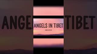 Angels in Tibet❤️plzsubscribemychannel angelsintibetsongs [upl. by Assyle999]