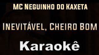 Inevitável  Cheiro Bom  MC Neguinho do Kaxeta  Karaoke Playback Instrumental [upl. by Kawai]