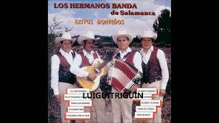 Los Hermanos Banda De Salamanca Mix De Puras Buenas [upl. by Crescentia]