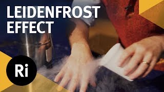 Liquid Nitrogen and the Leidenfrost Effect [upl. by Lennox]