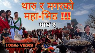 Maghe Sankranti ││ Tharu Festival ││Magar Festival││Pork Heaven ││Tudhikhel ││Kathmandu ││Nepal││ [upl. by Amliv]