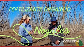 Resultados de la aplicación de fertilizante orgánico en［ＮＯＧＡＬＥＳ］ [upl. by Thirzia360]