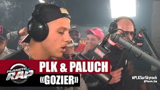 PLK quotGozierquot ft Paluch PlanèteRap [upl. by Marlin]