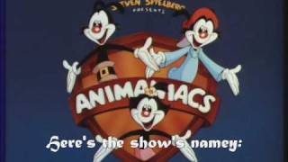 Animaniacs Theme  Multilanguage Audio Only [upl. by Dominus]