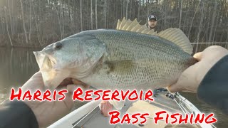 Catching Bass at Harris Reservoir [upl. by Aiyot293]