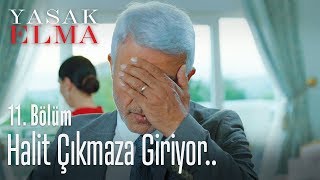 Halit çıkmaza giriyor  Yasak Elma 11 Bölüm [upl. by Wilfreda]