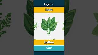 🇬🇧🇸🇰 herb  bylina  vocabulary builder  learn English  naučme sa anglicky [upl. by Caputto]