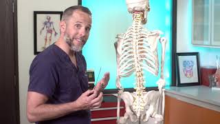 Lumbar Puncture Anatomy  Adult EM Bootcamp [upl. by Noirad158]