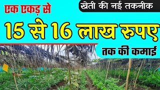 multi layer farming  multilayer farming  Aakash chaurasia multilayer farmer [upl. by Leonerd]