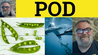 🔵 Pod Meaning  Pod Examples  Pod Definition  3 Letter Words You Didnt Know  Pod Explanation [upl. by Nirrek]