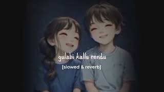 Gulabi kallu rendu slowed reverb song Telugu [upl. by Kreindler]