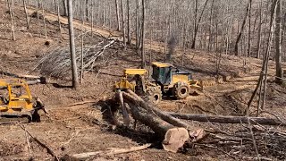 Raining hardwood Logging Eastern Kentucky [upl. by Amoakuh]