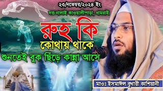 রুহ কি কোথায় থাকে শুনতে বুক ছিঁড়ে কান্না আসে। মাওঃ ইসমাঈল বুখারী কাশিয়ানী Ismail bukhari kashiani [upl. by Lenoyl72]