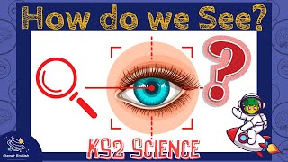 Our Eyes and How We See  KS2 Science  STEM and Beyond [upl. by Hareehahs]