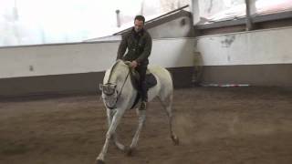 Francesco Vedani Equitazione  Cavallo con bocca difficile parte 1 rollkur [upl. by Lunn627]