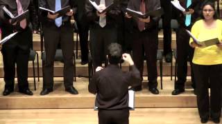 Linden Lea  Ralph Vaughan Williams arr Arthur Somervell [upl. by Yrokcaz]