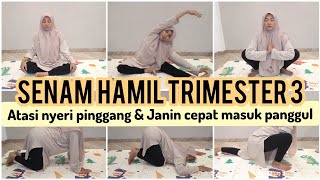 SENAM HAMIL TRIMESTER 3 AGAR JANIN CEPAT MASUK PANGGUL [upl. by Boyce935]