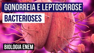 GONORREIA E LEPTOSPIROSE bacterioses  Biologia para o Enem  Cláudia de Souza Aguiar [upl. by Nilyarg964]