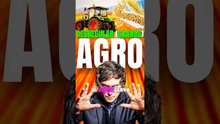 DESREGULACIÓN del agro argentina mileihoy granos [upl. by Rede639]