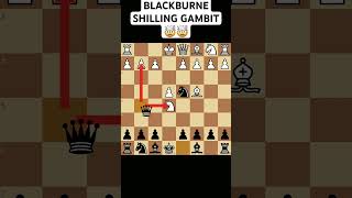 BLACKBURNE SHILLING GAMBIT 🤯🤯 chesss [upl. by Aitnis423]