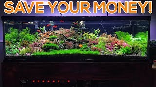 BEGINNER PLANTED AQUARIUM MISTAKES  OVER SPENDING [upl. by Javed541]