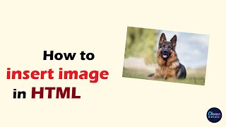 How to insert image in HTML web page using notepad [upl. by Kerrison]