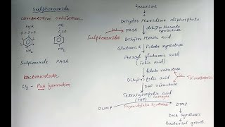 Sulphonamides antibacterial antimicrobial chemotherapy [upl. by Neerroc358]