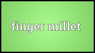 Finger millet Meaning [upl. by Oaks]