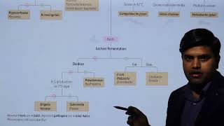 Gram negative Bacteria Classification USMLE Step 1 2021 Microbiology lecture 18 page 141 [upl. by Euqinommod483]