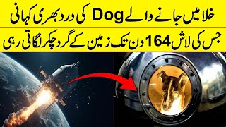 NASAs First Dog In Space  If Tv [upl. by Kenelm227]