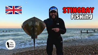 UK Beach Fishing Catching Lots Of Stingrays The Shore Hunter 4K Fishing [upl. by Ynnot]