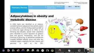 Origen del cáncer en la Obesidad Parte 1 [upl. by Tillo]