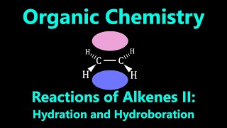 Organic Chemistry  Reactions of Alkenes II Hydration and Hydroboration [upl. by Serene175]