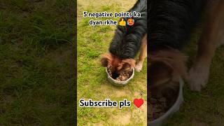 5 negative points ka dyan rkhe 👍🥵 gsd viral germansheparddog shorts gsdindia doglover like [upl. by Ytitsahc]