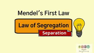 Mendels Law of SegregationLeaving Cert Biology Genetics [upl. by Ainevul128]