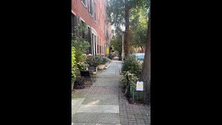 1720 Pine St 1 Video Tour [upl. by Acinomed]