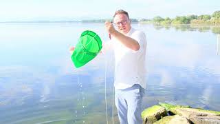 What Microbes live in Japans Biggest Lake Lake Biwa Under the Microscope [upl. by Tymes]