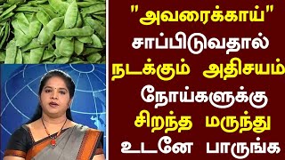 அவரைக்காய் மருத்துவ நன்மைகள் Avaraiikkai Health Benefits in TamilTamil News Health Tips in Tamil [upl. by Serra]