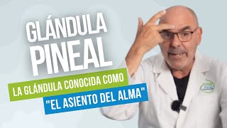 La GLÁNDULA PINEAL Cuál es su Función y Cómo Mantenerla Sana [upl. by Htidra]