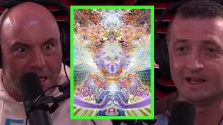 Does Joe Rogan Think the DMT Elves Are Real [upl. by Yelsa]