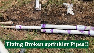 How to fix broken sprinkler pvc pipes easy fix [upl. by Conny942]