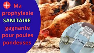 Tout savoir sur ma prophylaxie sanitaire des poules pondeuses de A à Z [upl. by Orozco]